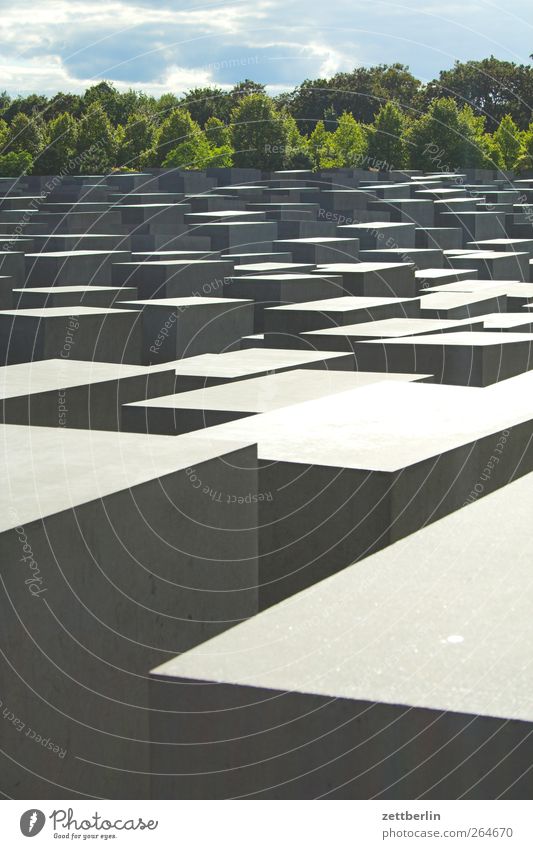 Holocaust Hauptstadt Stadtzentrum Bauwerk Architektur Sehenswürdigkeit Wahrzeichen Denkmal Holocaustgedenkstätte Berlin Beton Sommer Farbfoto Gedeckte Farben