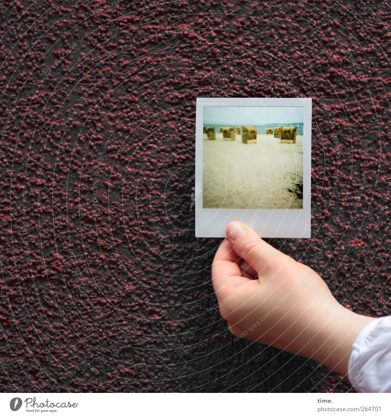 KI09 | let's heading for the secrets in that garden overthere feminin Hand 1 Mensch Mauer Wand Fassade Dienstleistungsgewerbe Fotografie Strand Polaroid