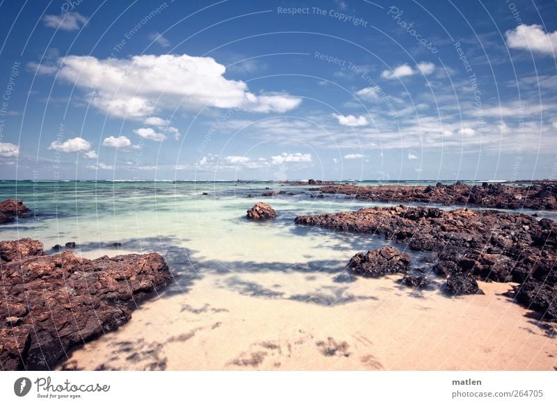 Ebbe Landschaft Sand Wasser Himmel Wolken Horizont Sonnenlicht Felsen Küste Strand Bucht Meer blau braun gelb grün mehrfarbig Außenaufnahme Tag