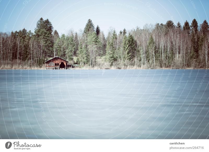 See im Winterschlaf Umwelt Natur Landschaft Wald blau braun grau grün Allgäu Hopfensee Waldrand Hütte Eisfläche kalt Farbfoto Gedeckte Farben Außenaufnahme