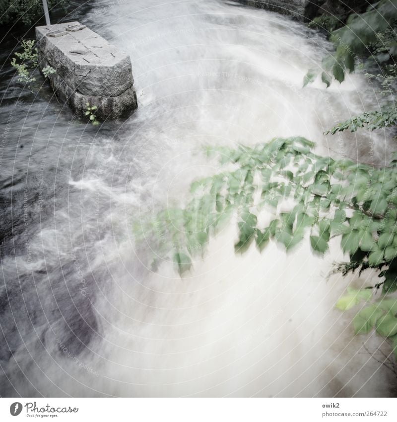 Am Canale Umwelt Natur Pflanze Wasser Klima Wetter Wind Baum Blatt Verkehr Schifffahrt Wasserstraße Kanal Wellen Stein Bewegung gigantisch nass unten wild