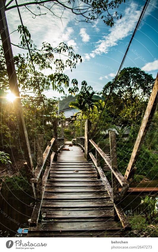 sprichwörtlich | wer eine brücke überqueren will, muss die seiten wechseln Gegenlicht Sonnenuntergang Sonnenlicht Licht Dämmerung Abend Farbfoto Fernweh