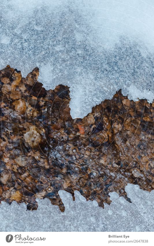 eisiger Reissverschluss Winter Natur Wasser Eis Frost Schnee Bach frieren außergewöhnlich eckig kalt natürlich Spitze stachelig weiß Bewegung einzigartig