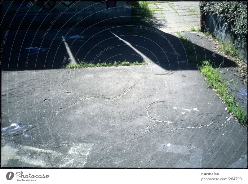 Zahnschatten Freizeit & Hobby Kunst Umwelt Natur Stadt Platz Mauer Wand Wege & Pfade Wachstum trashig trist grün schwarz Frühlingsgefühle Beginn skurril