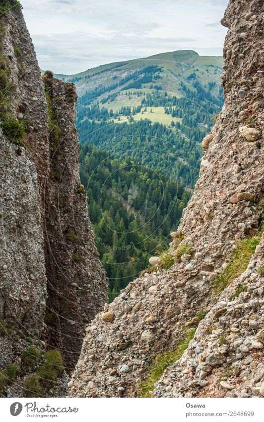 Nagelfluh Deutschland Allgäu Alpen Berge u. Gebirge Felsen Gebäude Gipfel Landschaft Nagelfluhkette wandern Bergsteigen Klettern Natur Alm Hochalpen Himmel