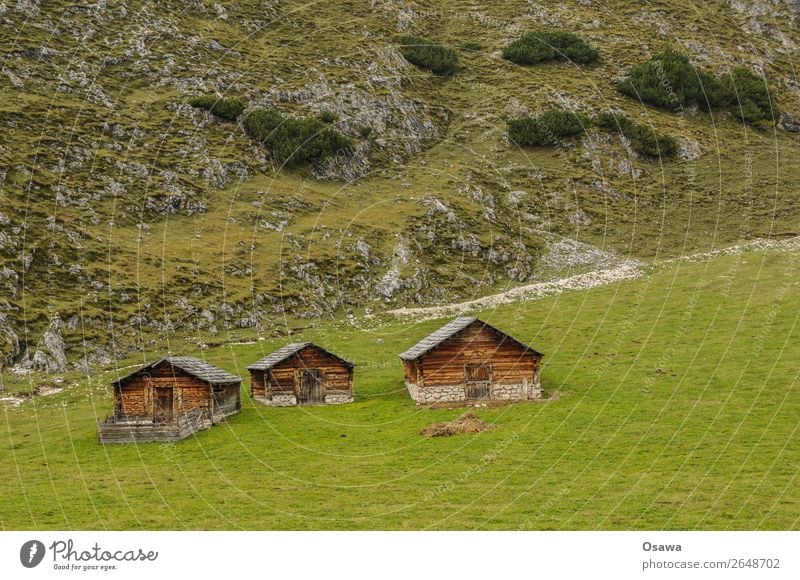 Pragser Hochalm Erholung ruhig Ferien & Urlaub & Reisen Sommer Berge u. Gebirge wandern Klettern Bergsteigen Natur Landschaft Wiese Felsen Alpen Alm