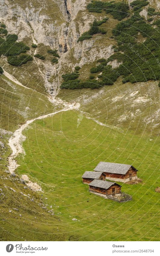 Pragser Hochalm Erholung ruhig Ferien & Urlaub & Reisen Tourismus Sommer Berge u. Gebirge wandern Haus Klettern Bergsteigen Landwirtschaft Forstwirtschaft Natur