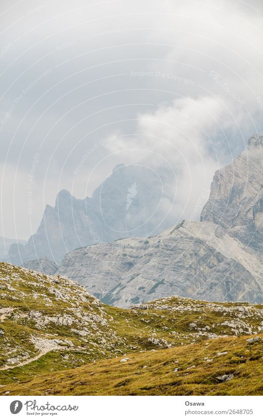 Pragser Hochalm Italien Südtirol Alpen Berge u. Gebirge Felsen Stein Gipfel Landschaft Dolomiten wandern Bergsteigen Klettern Natur unberührt Alm Wiese hoch