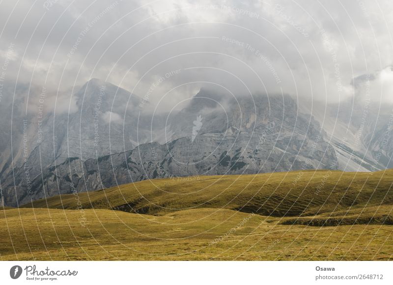 Pragser Hochalm Italien Südtirol Alpen Berge u. Gebirge Felsen Stein Gipfel Landschaft Dolomiten wandern Bergsteigen Klettern Natur unberührt Alm Wiese hoch