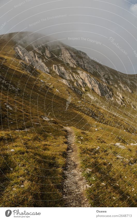 Pragser Hochalm Italien Südtirol Alpen Berge u. Gebirge Felsen Stein Gipfel Landschaft Dolomiten wandern Bergsteigen Klettern Natur unberührt Alm Wiese hoch