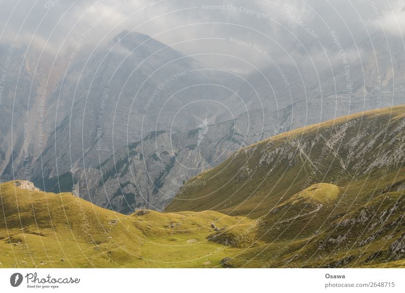 Pragser Hochalm Italien Südtirol Alpen Berge u. Gebirge Felsen Stein Gipfel Landschaft Dolomiten wandern Bergsteigen Klettern Natur unberührt Alm Wiese hoch