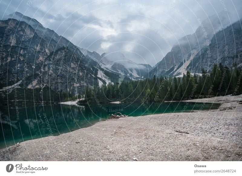 Pragser Wildsee - Lago di Braies Umwelt Natur Landschaft Baum Wasser Himmel Himmel (Jenseits) Wolken Alpen Berge u. Gebirge Südtirol See wandern blau grün ruhig