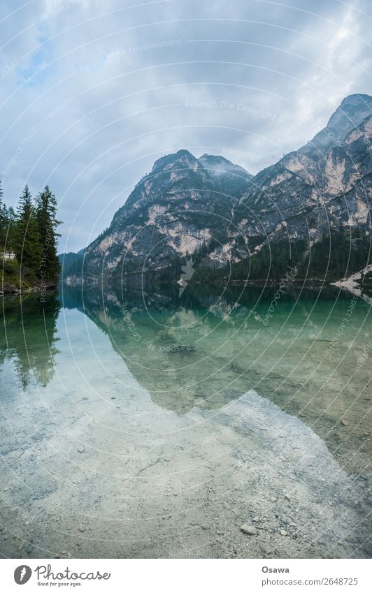 Pragser Wildsee - Lago di Braies Umwelt Natur Landschaft Baum Wasser Himmel Himmel (Jenseits) Wolken Alpen Berge u. Gebirge Südtirol See wandern blau grün ruhig