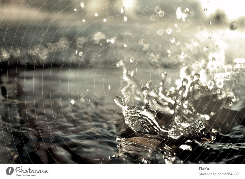 Platsch Wasser Wassertropfen Stein leuchten frisch nass Bodenbelag spritzen Sonne Sonnenlicht Farbfoto Außenaufnahme Nahaufnahme Makroaufnahme Menschenleer