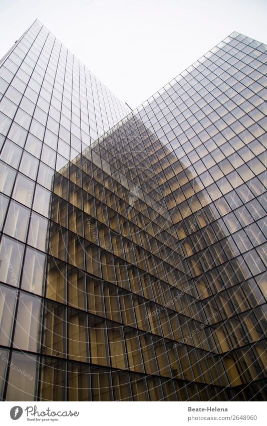 Transparenz ist angesagt Tourismus Ausflug Haus Arbeitsplatz Bibliothek Architektur Sehenswürdigkeit Wahrzeichen Nationalbibliothek Zeichen