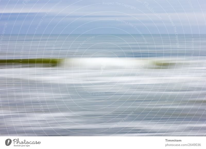 Eine sanfte Welle Ferien & Urlaub & Reisen Umwelt Natur Urelemente Wasser Strand Nordsee Dänemark Bewegung ästhetisch blau grün weiß Lebensfreude Gelassenheit