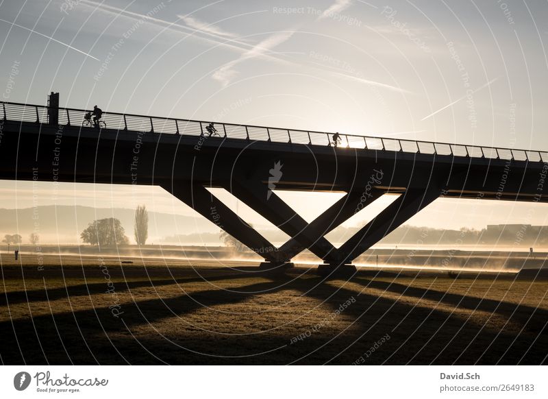 Radfahrer auf einer Brücke bei Sonnenaufgang und Nebel Fahrradfahren 3 Mensch Natur Landschaft Sonnenuntergang Herbst Schönes Wetter Baum Gras Wiese Dresden