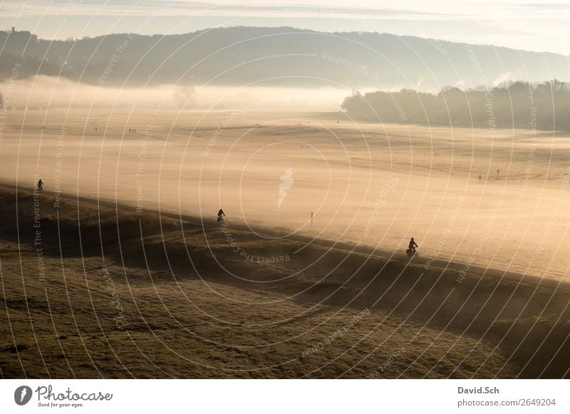 Fahrradfahrer auf dem Elbradweg bei Dresden am Morgen Fahrradfahren Mensch 3 Landschaft Sonnenaufgang Sonnenuntergang Sonnenlicht Herbst Nebel Wiese Verkehr