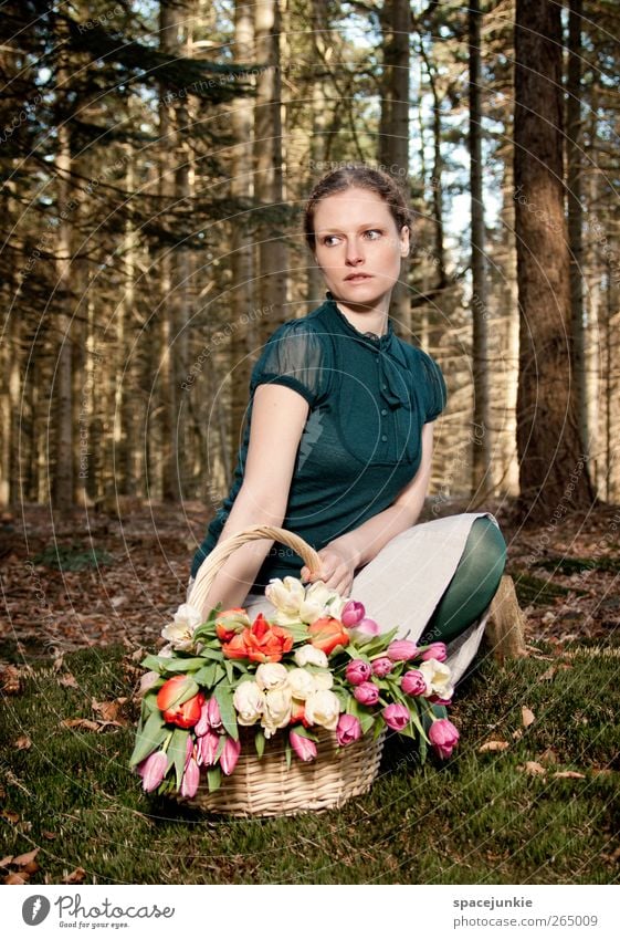 Springtime (2) Mensch feminin Junge Frau Jugendliche 1 18-30 Jahre Erwachsene Landschaft Frühling Wald beobachten berühren träumen braun grün Warmherzigkeit