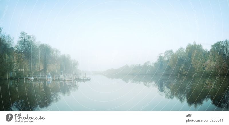 stille Städtereise Umwelt Natur Landschaft Wasser Wolkenloser Himmel Herbst Wetter Schönes Wetter Pflanze Baum Fluss Eider Rendsburg Schleswig-Holstein