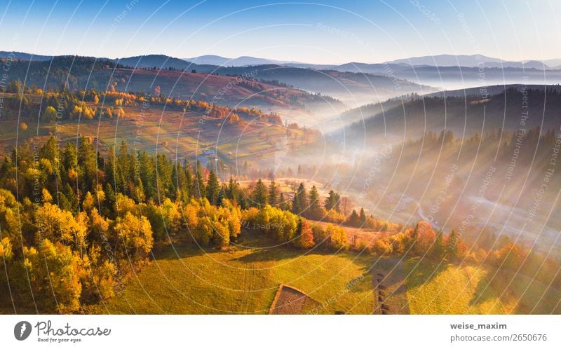 Schönes Morgenlicht durch Nebel und Wald schön Ferien & Urlaub & Reisen Ausflug Ferne Freiheit Berge u. Gebirge wandern Haus Umwelt Natur Landschaft Himmel