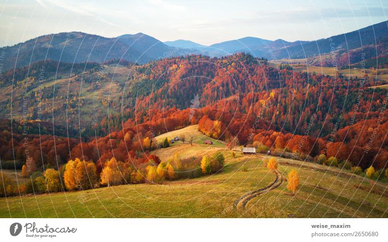 Bergherbstlandschaft mit Wiese und buntem Wald schön Gesundheit Ferien & Urlaub & Reisen Ausflug Freiheit Expedition Berge u. Gebirge wandern Häusliches Leben