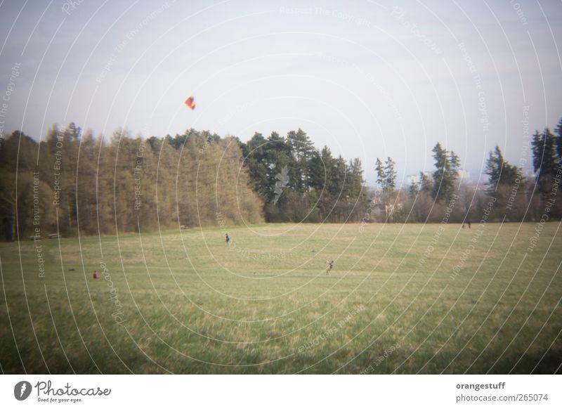 großer Drache Mensch Leben 4 Landschaft Wind Gras Park Wiese Feld Wien Steinhofgründe Erholung Spielen Drachenfliegen Lenkdrachen Kiter Gedeckte Farben