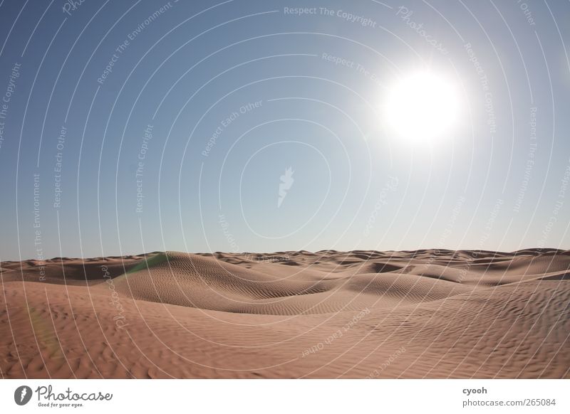 Sandmeer Natur Landschaft Luft Himmel Wolkenloser Himmel Sommer Klima Klimawandel Schönes Wetter Wärme Dürre Wüste Ferne nah trocken blau sanft Stranddüne