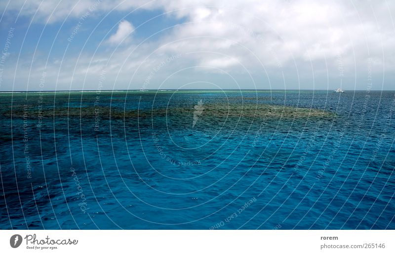 Korallenriff Ferien & Urlaub & Reisen Ausflug Ferne Kreuzfahrt Meer Great Barrier Reef tauchen blau reffen Sinkflug Wasser Prima Barriere Windstille Farbfoto