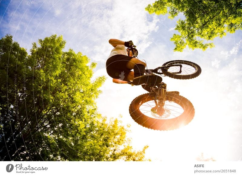 Junge Radfahrer Extremsprung Freiheit Sommer Berge u. Gebirge Sport Fahrradfahren Mann Erwachsene Natur Baum Wald Felsen springen frei stark Reiter extrem jung