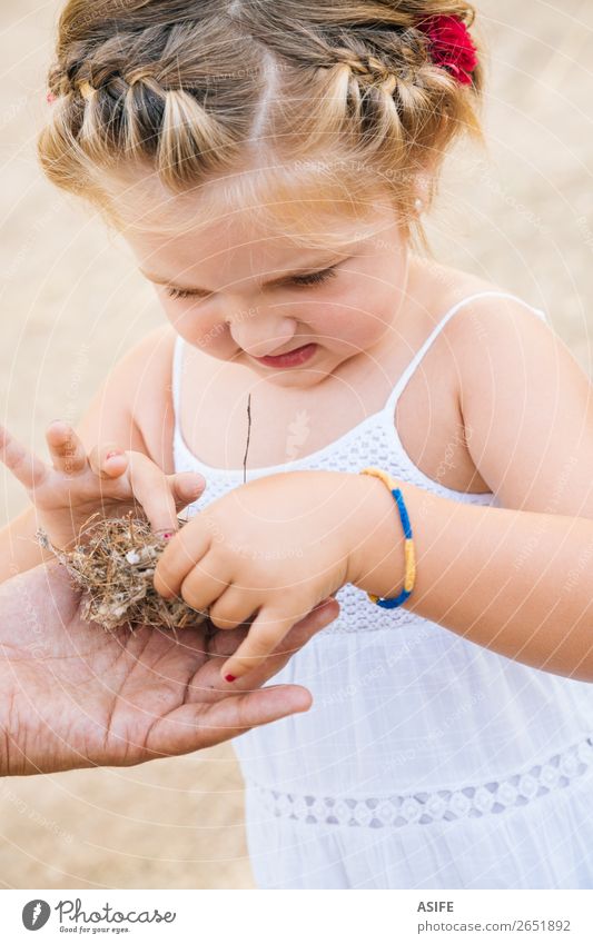 Neue Erfahrungen für kleine Mädchen Leben Sommer Kind Schule Kleinkind Eltern Erwachsene Vater Hand Natur blond Vogel Liebe Neugier niedlich Nest Tochter