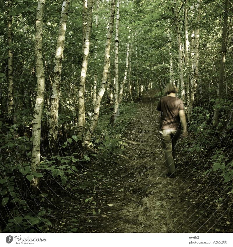 Dschungelwanderung Ausflug wandern Spaziergang Spazierweg Mensch feminin Frau Erwachsene 1 Umwelt Natur Landschaft Pflanze Frühling Klima Wetter Schönes Wetter