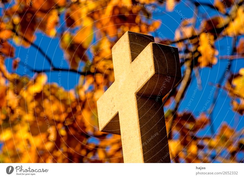 Kreuz mit herbstlich verfärbtem Laub im Hintergrund gelb trösten dankbar Schmerz schuldig Religion & Glaube christian Kreuzweg katholisch Pilgerweg Kreuzstation