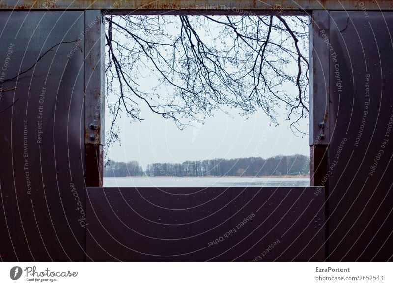 die Wetteraussichten Umwelt Natur Landschaft Herbst Winter Eis Frost Pflanze Baum Küste See kalt Fenster Aussicht Fensterblick Ast Himmel Farbfoto Außenaufnahme