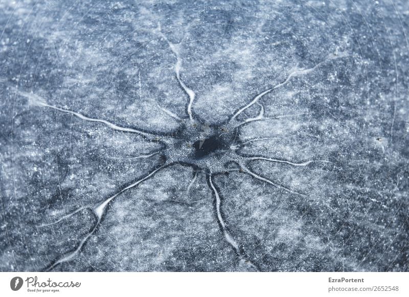 Zelle Umwelt Natur Winter Eis Frost ästhetisch kalt Körperzelle Naturphänomene gefroren Schwarzweißfoto Außenaufnahme Nahaufnahme Detailaufnahme Menschenleer