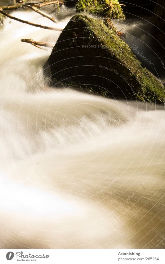 Wildwasser Umwelt Natur Landschaft Pflanze Wasser Frühling Moos Felsen Wellen Flussufer Bach Wasserfall Stein Holz grün weiß Geschwindigkeit Dynamik