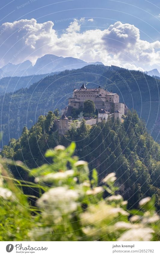 II Burg Hohenwerfen - Das Turnier Burg oder Schloss Mittelalter Ritter historisch Turm Himmel Wolken Festung Salzburger Land Wald Außenaufnahme Sehenswürdigkeit