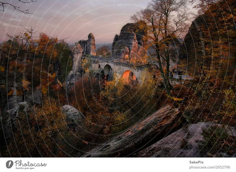 glühende Brücke Tourismus Sightseeing Berge u. Gebirge wandern Klettern Bergsteigen Landschaft Sonnenaufgang Sonnenuntergang Lohmen Bastei Bauwerk