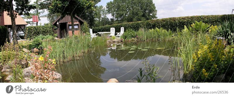 Weiter Garten Teich Baum Sträucher Hütte Wasser