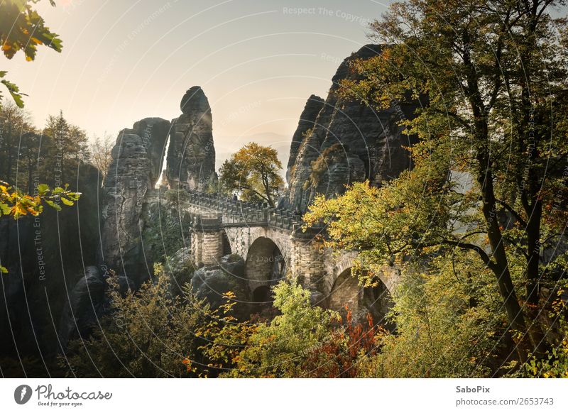 Basteibrücke Umwelt Natur Landschaft Himmel Wolkenloser Himmel Herbst Schönes Wetter Baum Felsen Gipfel Menschenleer Brücke Sehenswürdigkeit Wahrzeichen alt