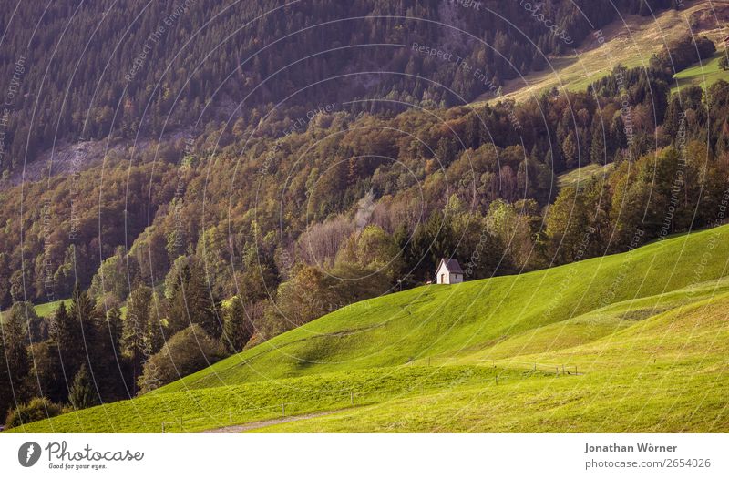 Chapel Ferien & Urlaub & Reisen Ausflug Abenteuer Berge u. Gebirge wandern Natur Landschaft Pflanze Sommer Herbst Baum Gras Wiese Wald Hügel Alpen Hütte Kapelle