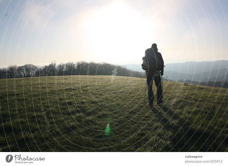 Appalachian Trail (untitled) #8 Ferne Freiheit Berge u. Gebirge wandern 1 Mensch Umwelt Natur Landschaft Himmel Sonne Sonnenlicht Frühling Schönes Wetter Gras