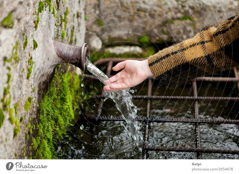 Handkontakt mit Wasser aus einem Naturbrunnen Winter Schnee Berge u. Gebirge Kind Mensch Frau Erwachsene Finger Moos Bach Mantel Stein Tropfen frisch natürlich