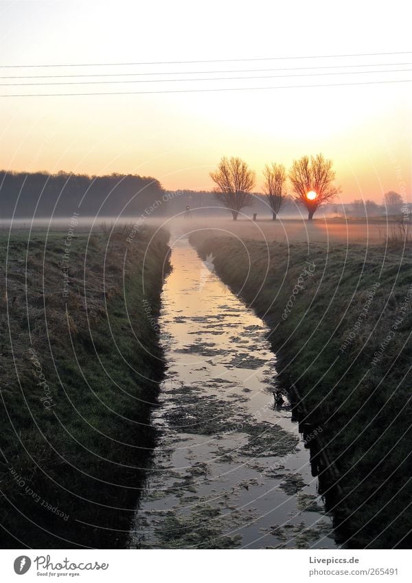 Seenplatte 2 Natur Landschaft Pflanze Wasser Himmel Sonnenaufgang Sonnenuntergang Frühling Schönes Wetter Baum Sträucher Feld Dorf Menschenleer dunkel gelb gold