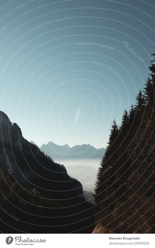 Der Berg ruft Alpen Nebel Himmel Berge Freiraum Tanne Tannen Bäume dunkel Berge u. Gebirge Landschaft Natur Felsen Panorama (Aussicht) Gipfel Ferne Tag