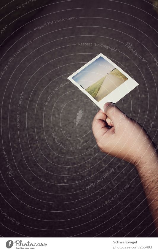 Polaroad Verkehrswege Straßenverkehr Wege & Pfade festhalten laufen Polaroid Bild-im-Bild Arme Farbfoto