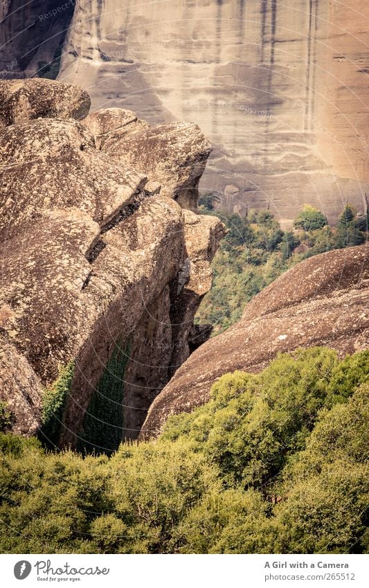 like a rock Umwelt Natur Landschaft Pflanze Urelemente Erde Sommer Schönes Wetter Baum Hügel Felsen Berge u. Gebirge Gipfel alt authentisch außergewöhnlich