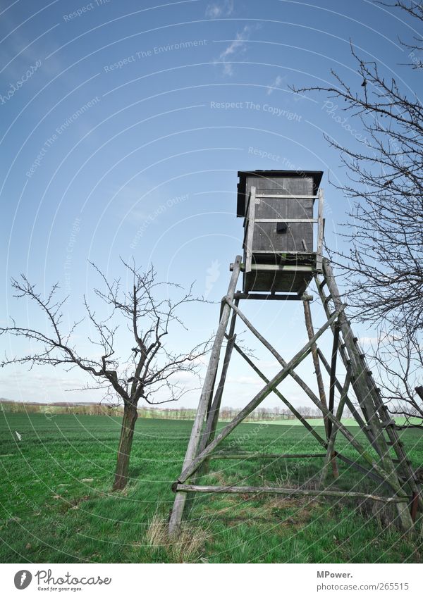 waidmannsheil Umwelt Natur Landschaft alt Jäger Hochsitz Holz Aussicht Leiter Baumstamm Feld grün Wolkenschleier kahl Frühling grau Ferne Horizont Schießbude