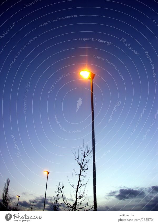 Lichter Umwelt Natur Himmel Nachthimmel Herbst Winter Stadt Stadtzentrum Freude Glück Straßenbeleuchtung Himmel (Jenseits) Beleuchtung Farbfoto mehrfarbig