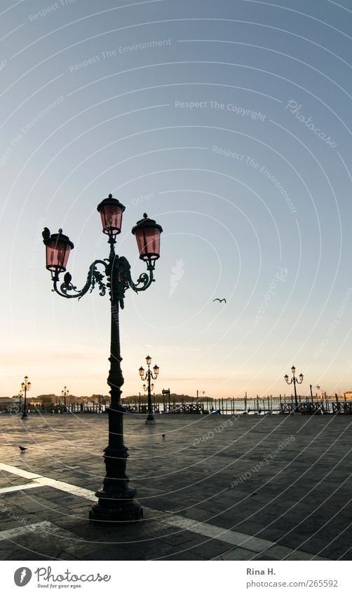 Morgens um 6.18 Uhr .... Ferien & Urlaub & Reisen Tourismus Sightseeing Himmel Sonnenaufgang Sonnenuntergang Sommer Schönes Wetter Venedig Platz